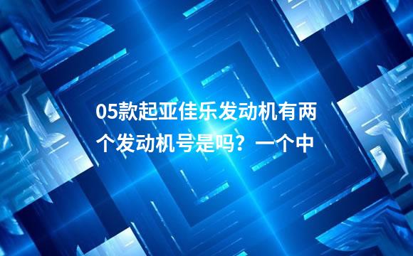 05款起亚佳乐发动机有两个发动机号是吗？一个中