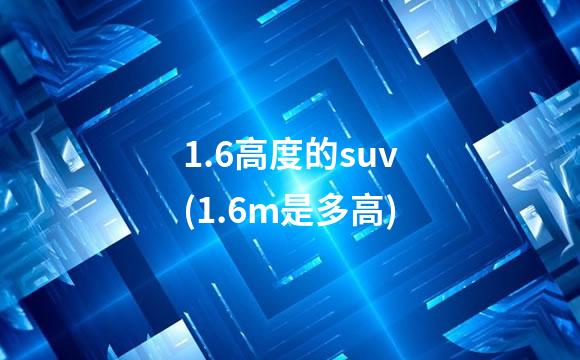 1.6高度的suv(1.6m是多高)