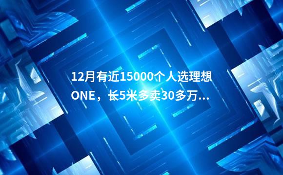 12月有近15000个人选理想ONE，长5米多卖30多万，这