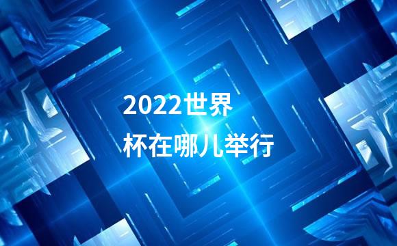 2022世界杯在哪儿举行
