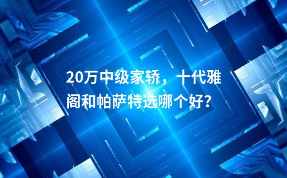 20万中级家轿，十代雅阁和帕萨特选哪个好？