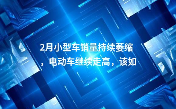 2月小型车销量持续萎缩，电动车继续走高，该如