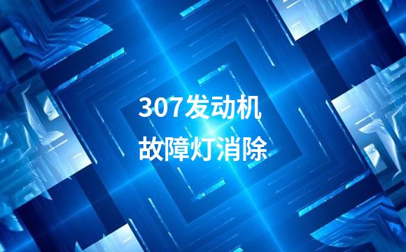 307发动机故障灯消除