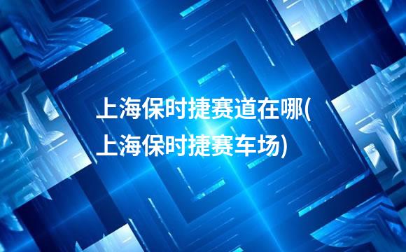 上海保时捷赛道在哪(上海保时捷赛车场)