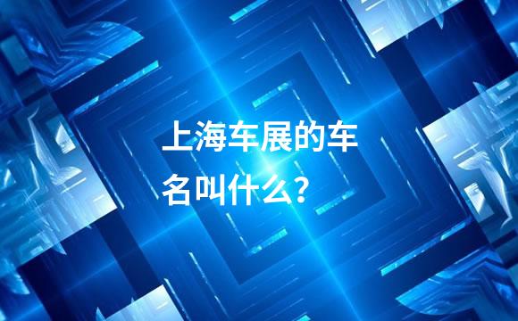 上海车展的车名叫什么？