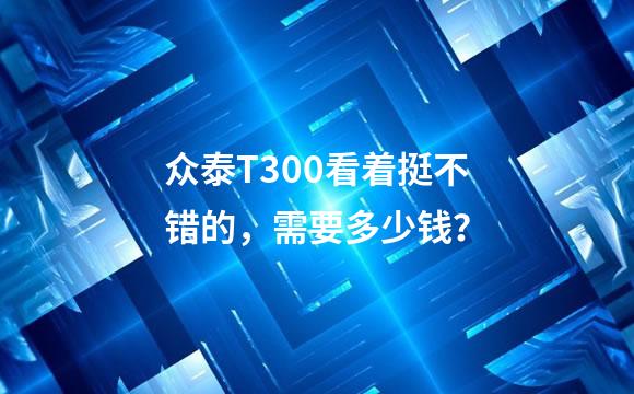 众泰T300看着挺不错的，需要多少钱？