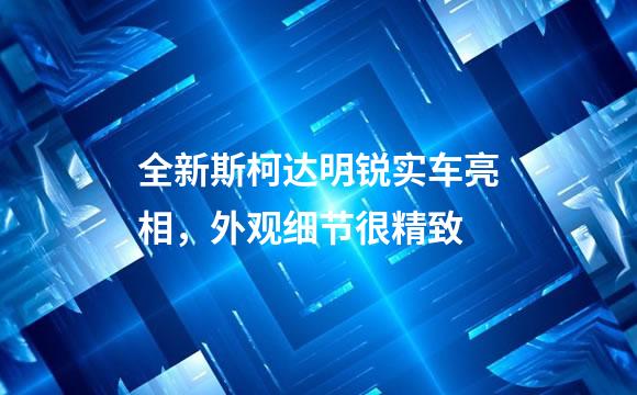 全新斯柯达明锐实车亮相，外观细节很精致