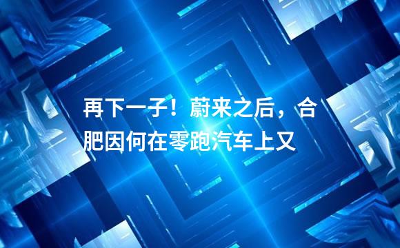再下一子！蔚来之后，合肥因何在零跑汽车上又