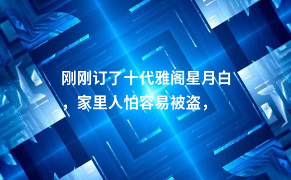刚刚订了十代雅阁星月白，家里人怕容易被盗，