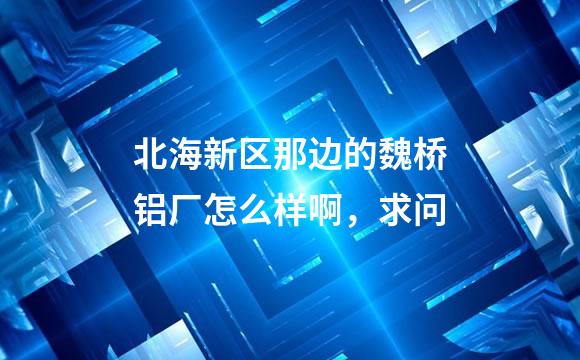 北海新区那边的魏桥铝厂怎么样啊，求问