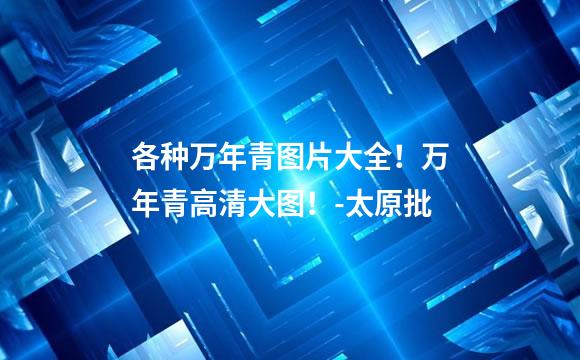 各种万年青图片大全！万年青高清大图！-太原批