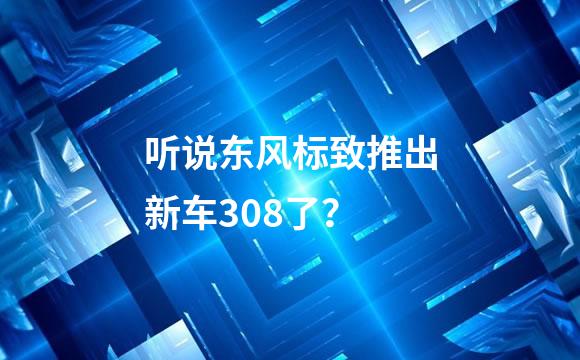 听说东风标致推出新车308了？