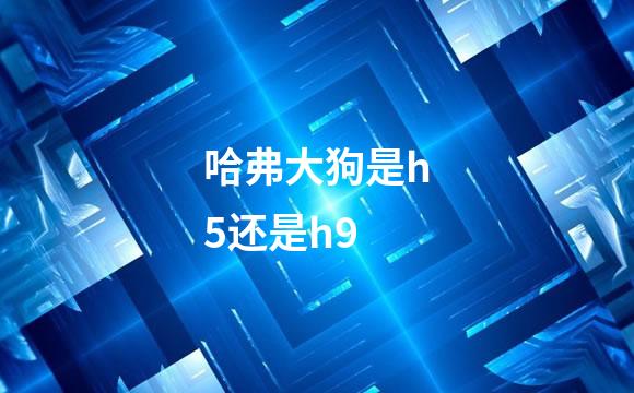哈弗大狗是h5还是h9