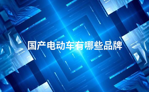 国产电动车有哪些品牌