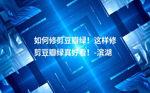 如何修剪豆瓣绿！这样修剪豆瓣绿真好看！-滨湖