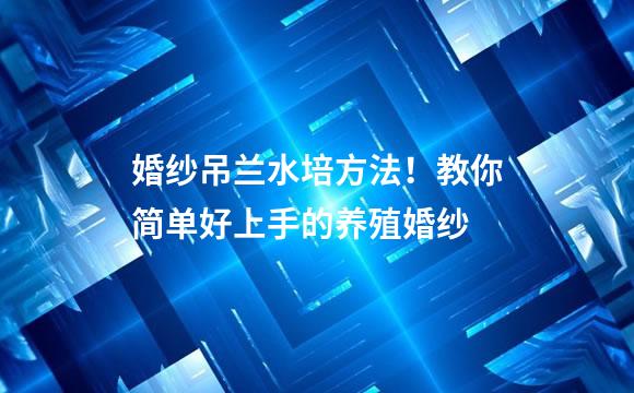 婚纱吊兰水培方法！教你简单好上手的养殖婚纱