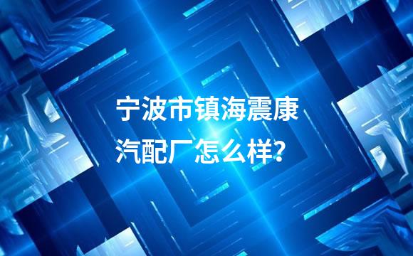 宁波市镇海震康汽配厂怎么样？