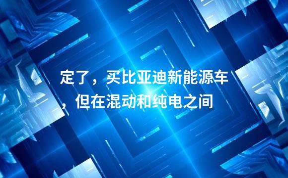 定了，买比亚迪新能源车，但在混动和纯电之间