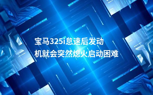 宝马325i怠速后发动机就会突然熄火启动困难