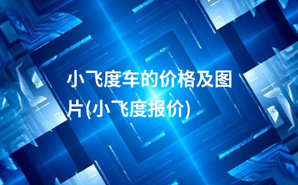 小飞度车的价格及图片(小飞度报价)