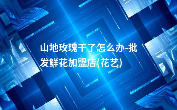 山地玫瑰干了怎么办-批发鲜花加盟店(花艺)