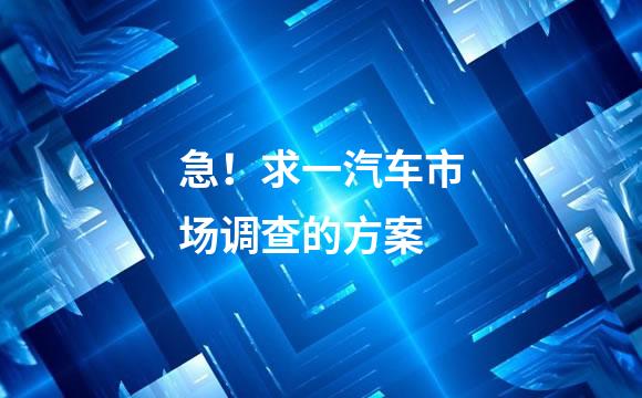 急！求一汽车市场调查的方案