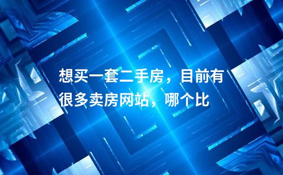 想买一套二手房，目前有很多卖房网站，哪个比