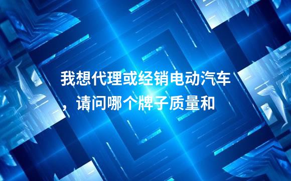 我想代理或经销电动汽车，请问哪个牌子质量和