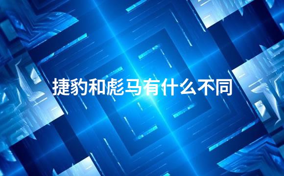 捷豹和彪马有什么不同