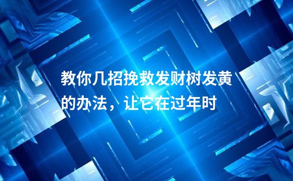 教你几招挽救发财树发黄的办法，让它在过年时