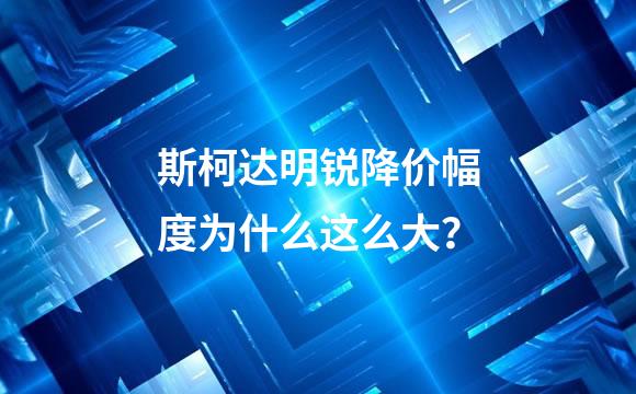 斯柯达明锐降价幅度为什么这么大？
