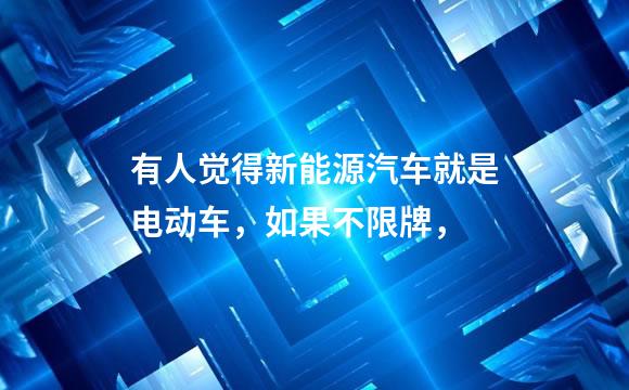 有人觉得新能源汽车就是电动车，如果不限牌，