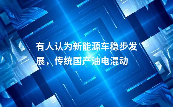 有人认为新能源车稳步发展，传统国产油电混动
