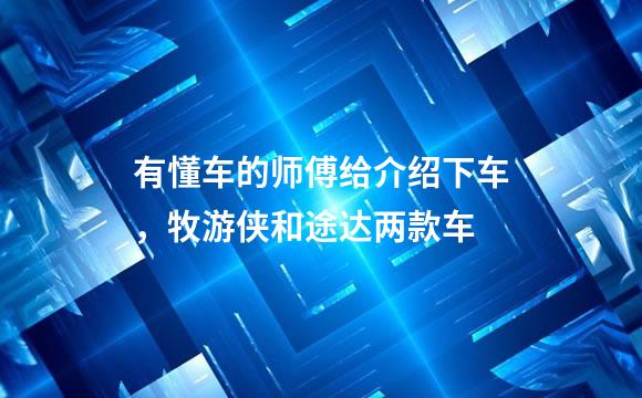 有懂车的师傅给介绍下车，牧游侠和途达两款车