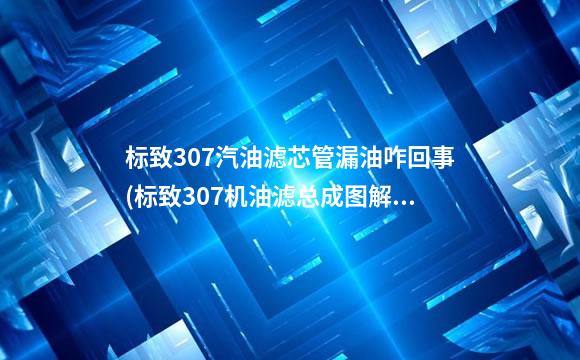 标致307汽油滤芯管漏油咋回事(标致307机油滤总成图解)