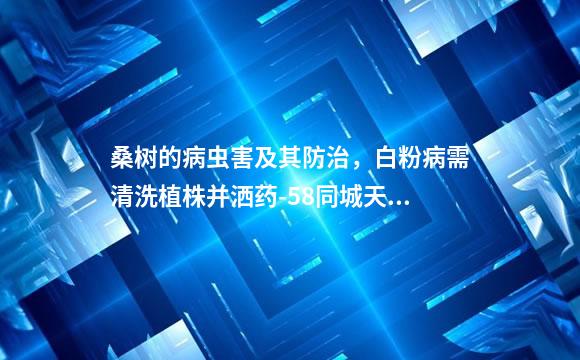 桑树的病虫害及其防治，白粉病需清洗植株并洒药-58同城天津鲜花批发(花艺)