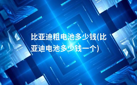 比亚迪粗电池多少钱(比亚迪电池多少钱一个)