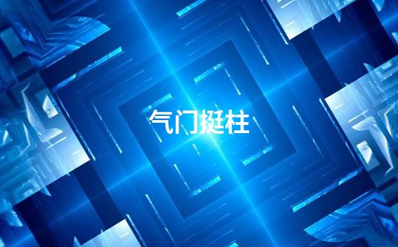 气门挺柱