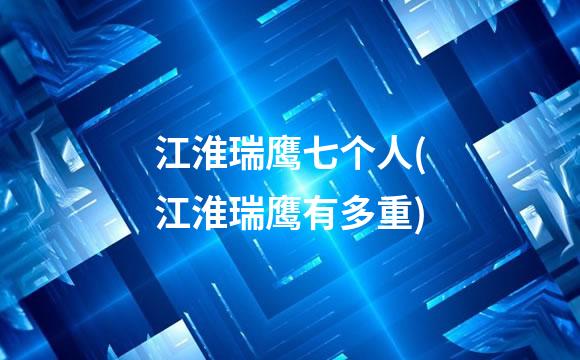 江淮瑞鹰七个人(江淮瑞鹰有多重)