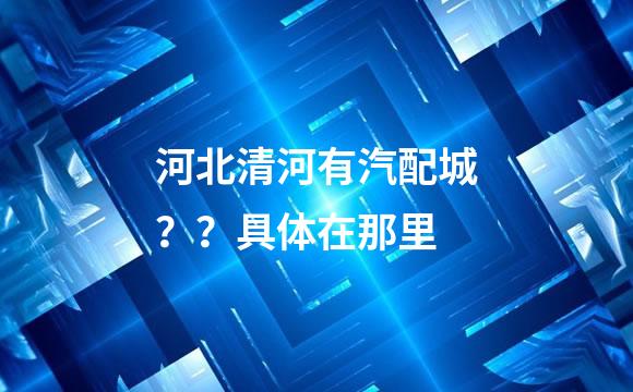 河北清河有汽配城？？具体在那里