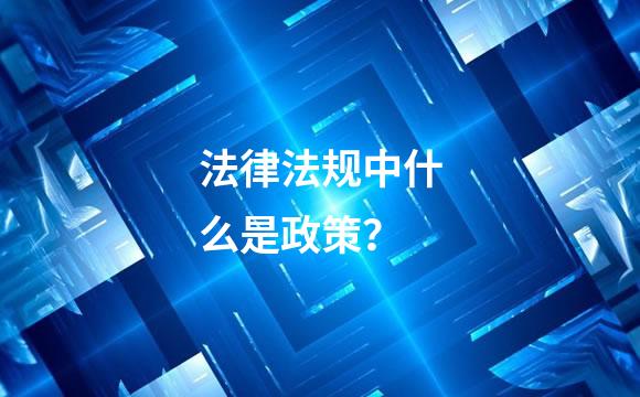 法律法规中什么是政策？