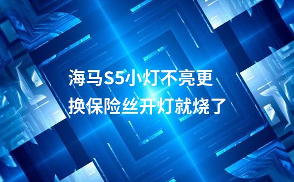 海马S5小灯不亮更换保险丝开灯就烧了