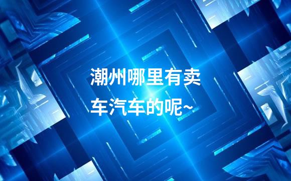 潮州哪里有卖车汽车的呢~