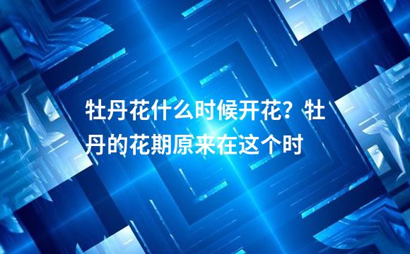 牡丹花什么时候开花？牡丹的花期原来在这个时
