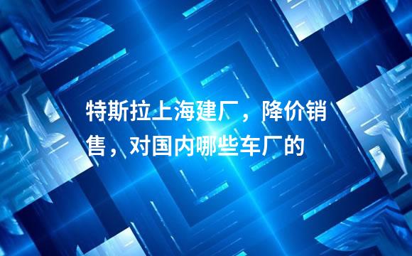 特斯拉上海建厂，降价销售，对国内哪些车厂的