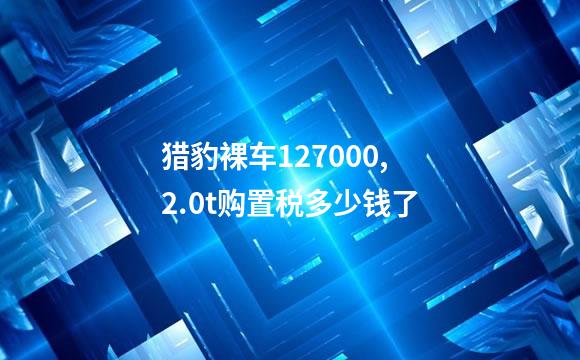 猎豹裸车127000,2.0t购置税多少钱了