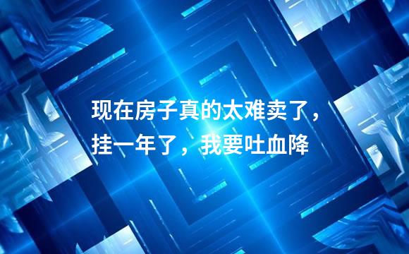 现在房子真的太难卖了，挂一年了，我要吐血降