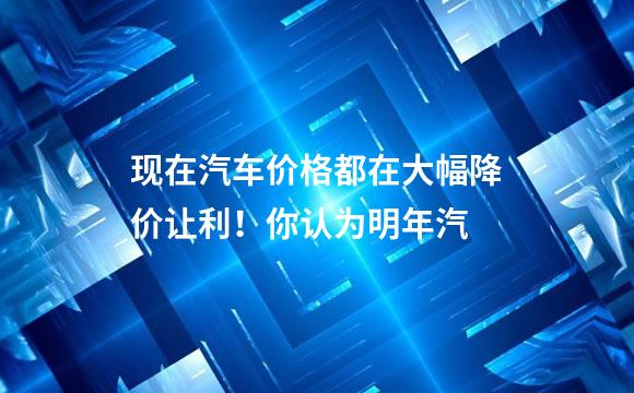现在汽车价格都在大幅降价让利！你认为明年汽