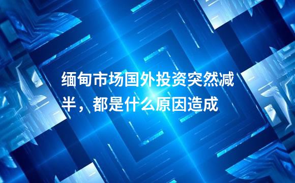 缅甸市场国外投资突然减半，都是什么原因造成