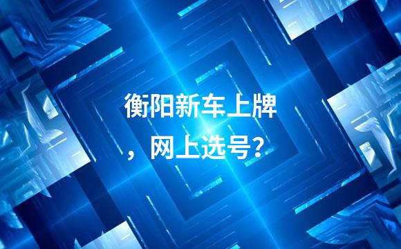 衡阳新车上牌，网上选号？